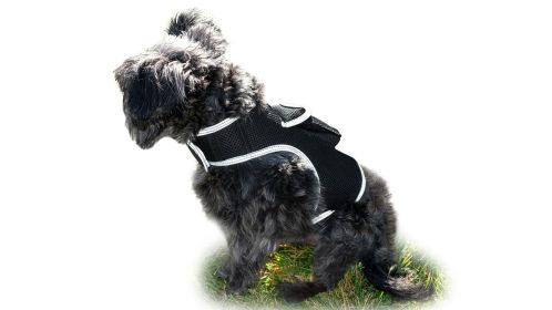 Portable GSM GPS Pet Tracking Devices Waterproof Mini Dog Cat Locator Size:L