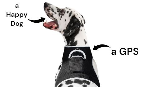 Portable GPRS Dog GPS App Waterproof Pet Tracking Device Collar Mount Size:L
