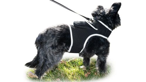 Motion Activated Mini Cat Tracker Waterproof GPS Pet Location Finder Size:L